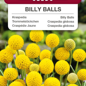 Kraspedia kulista 0,1g