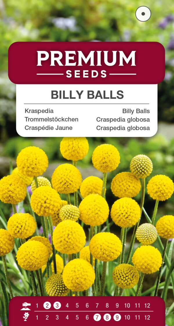 Kraspedia kulista 0,1g