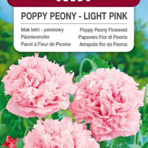 Mak letni peoniowy jasnoróżowy 0,5g