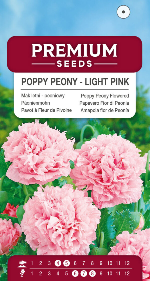 Mak letni peoniowy jasnoróżowy 0,5g