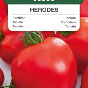 Pomidor Herodes 0,3g