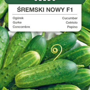 Ogórek Śremski Nowy F1 2g