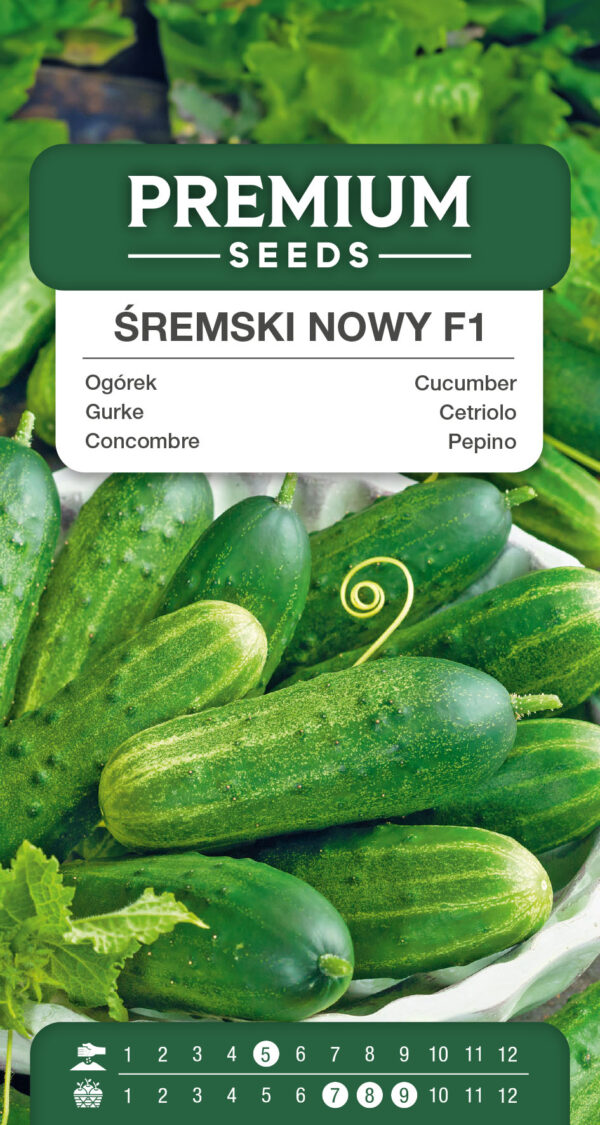 Ogórek Śremski Nowy F1 2g