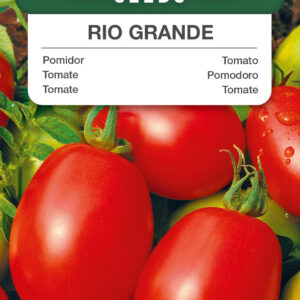 Pomidor Rio Grande karłowy 0,5g