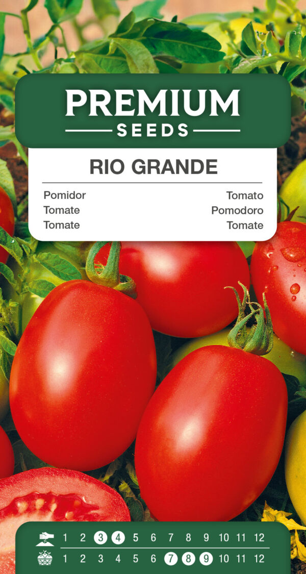 Pomidor Rio Grande karłowy 0,5g