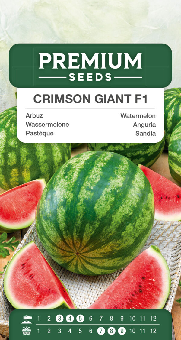 Arbuz, kawon Crimson Giant F1 1g