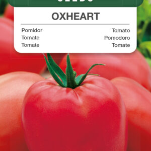 Pomidor Oxeheart wysoki 0,2g