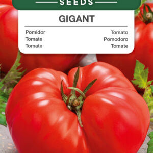 Pomidor Gigant 1g
