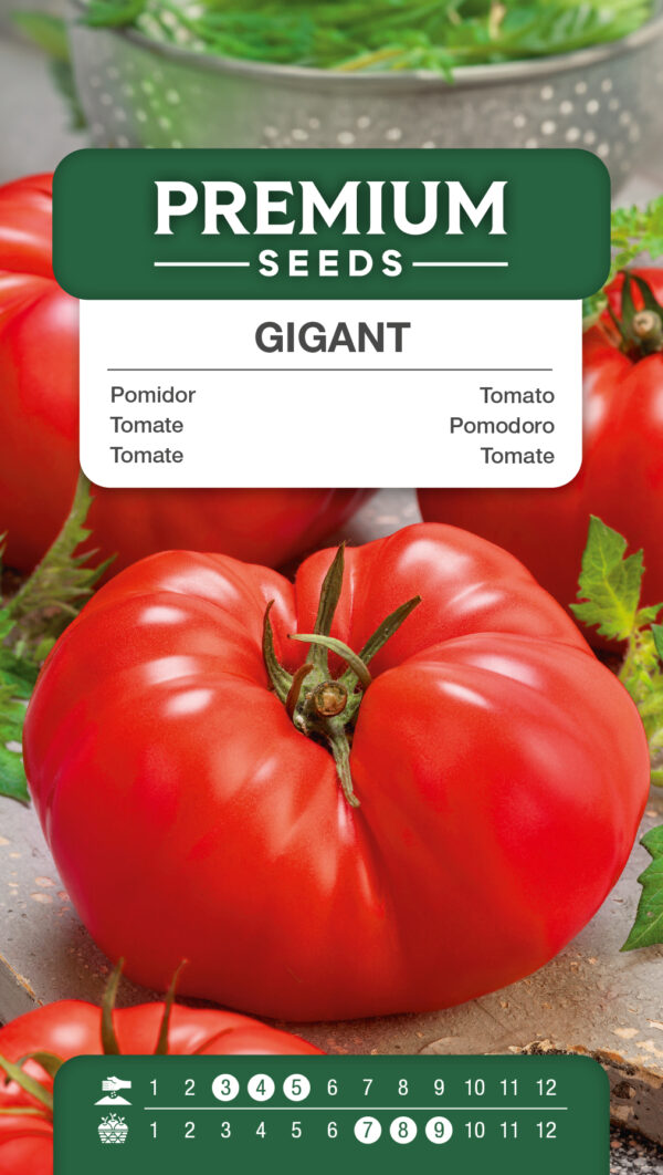 Pomidor Gigant 1g