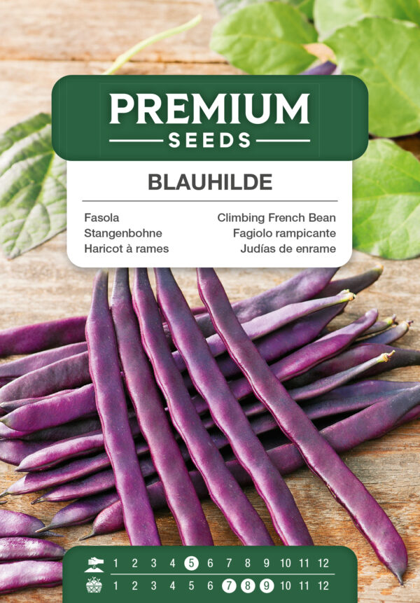 Fasola szparagowa Blauhilde 10g