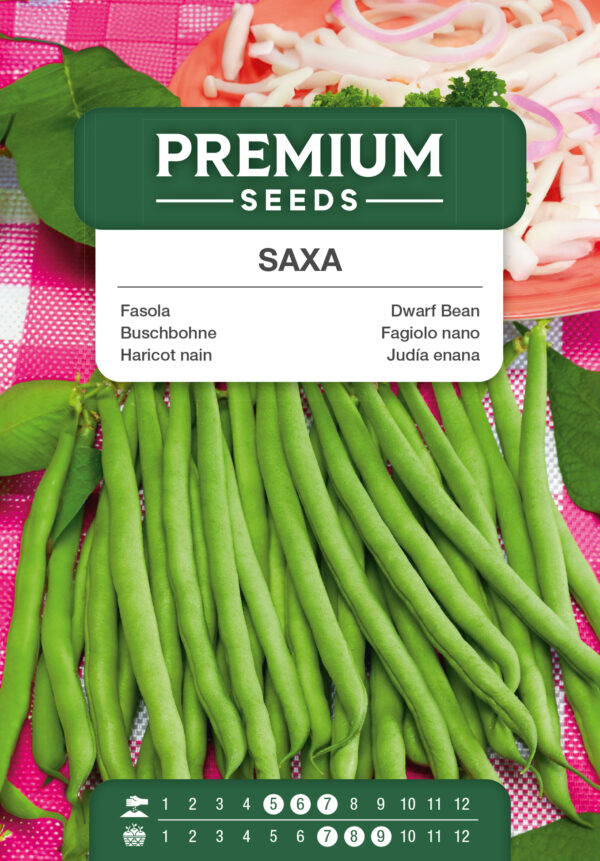 Fasola szparagowa Saxa 30g