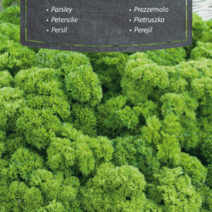 Pietruszka naciowa Mooskrause 2g