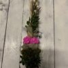 Palma Wielkanocna różowa mała
