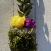 Palma Wielkanocna fioletowo żółta mała