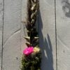 Palma Wielkanocna waniliowo różowa mała