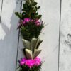 Palma Wielkanocna różowy