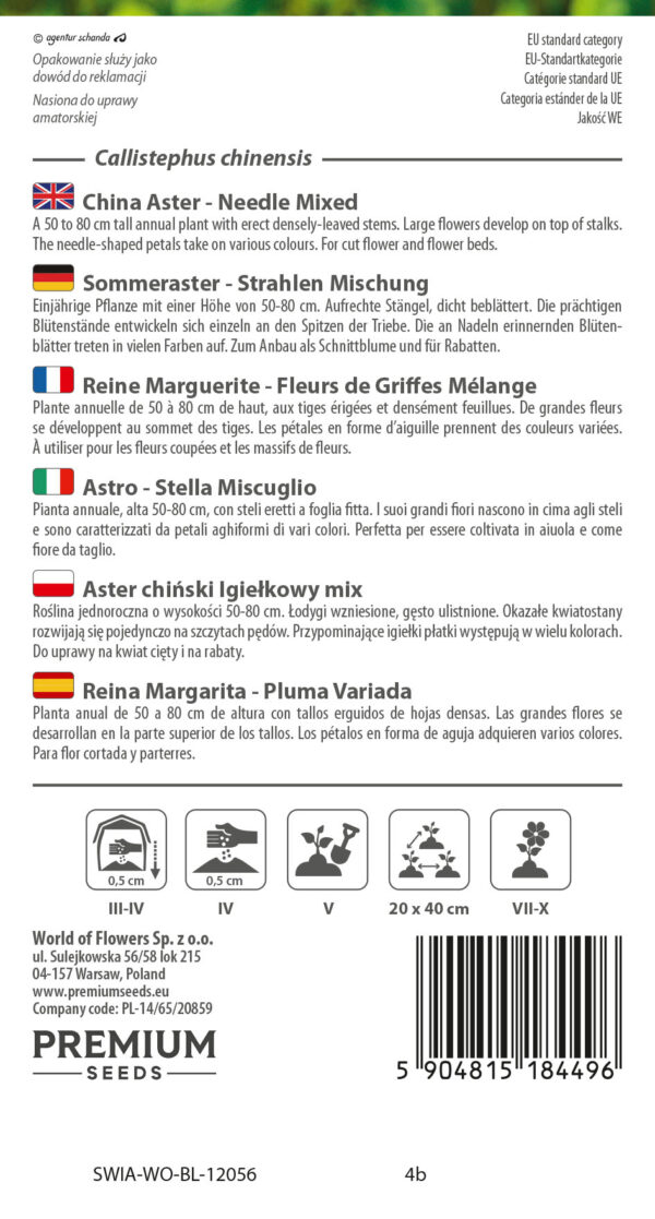 Aster chiński Igiełkowy mieszanka 1g