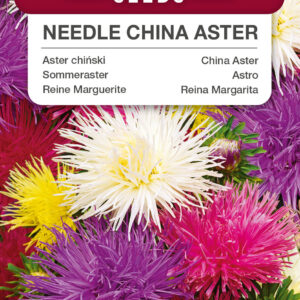 Aster chiński Igiełkowy mieszanka 1g