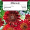 Słonecznik ozdobny Red Sun 2g