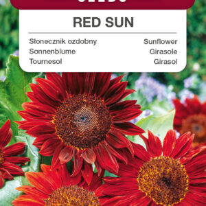 Słonecznik ozdobny Red Sun 2g