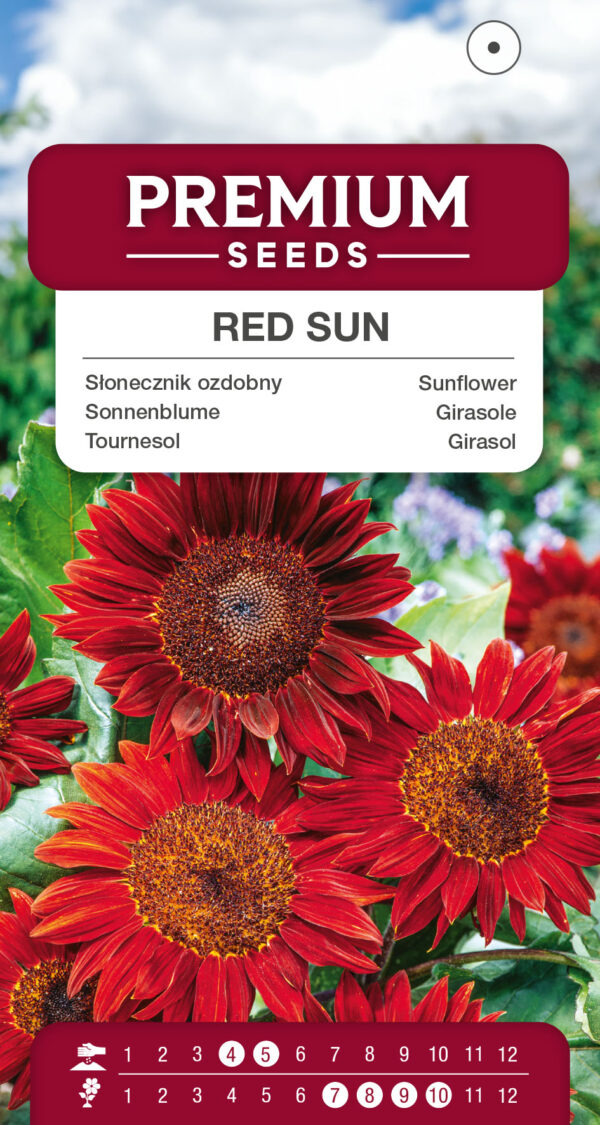 Słonecznik ozdobny Red Sun 2g
