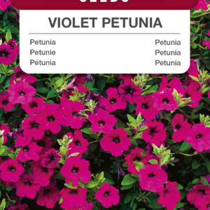 Petunia fiołkowata 0,1g