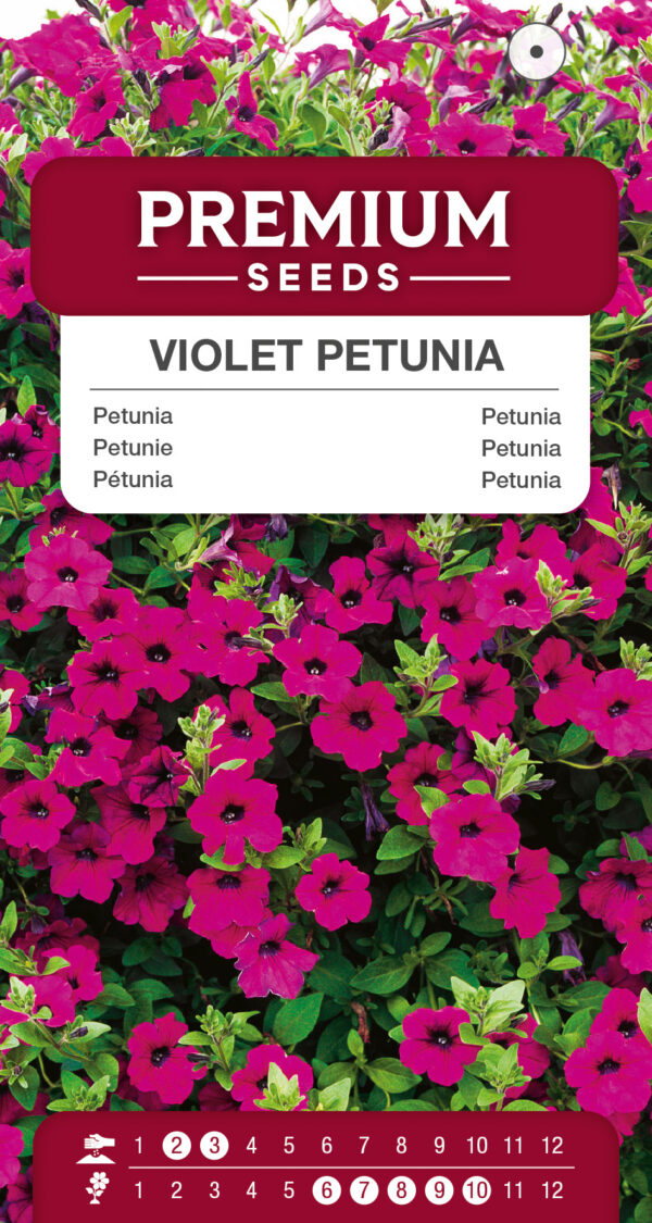 Petunia fiołkowata 0,1g
