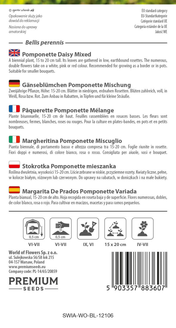 Stokrotka pomponette mieszanka 0,1g