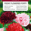 Mak letni peoniowy mieszanka 0,5g