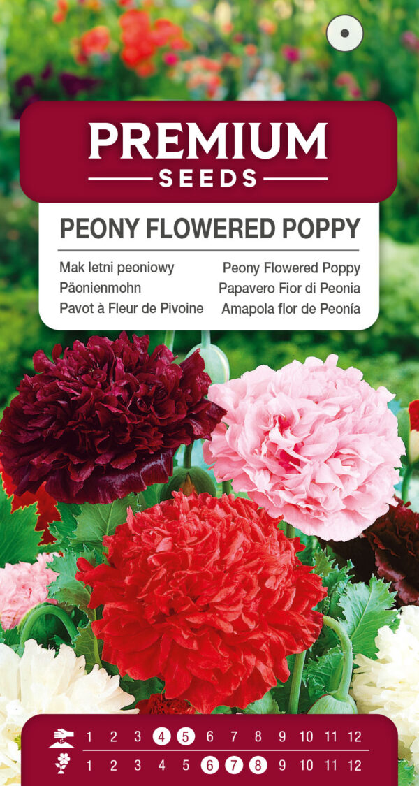 Mak letni peoniowy mieszanka 0,5g