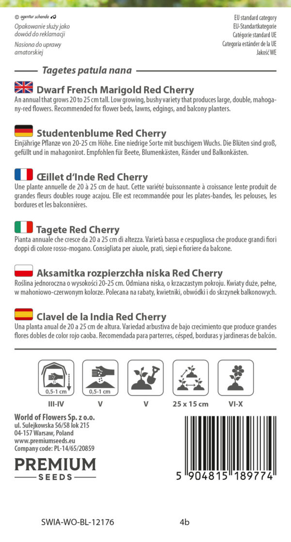 Aksamitka rozpierzchła Red Cherry 1g