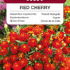 Aksamitka rozpierzchła Red Cherry 1g