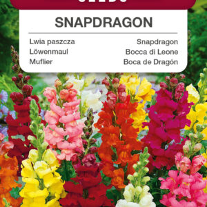 Lwia paszcza wysoka mieszanka 1g