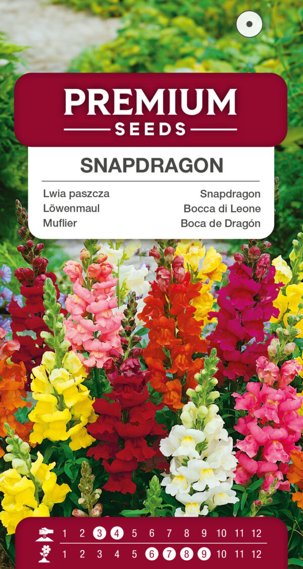 Lwia paszcza wysoka mieszanka 1g