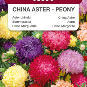 Aster chiński peoniowy mieszanka 1g