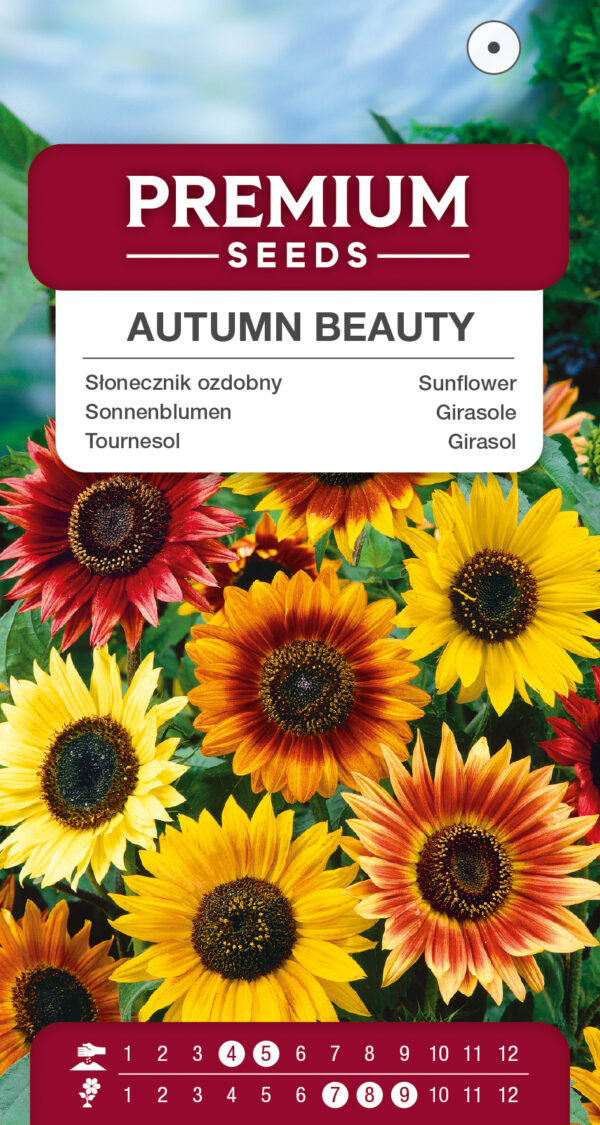 Słonecznik ozdobny Autumn Beauty 1g