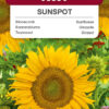 Słonecznik ozdobny Sunspot 1g