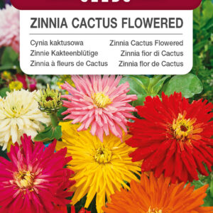 Cynia kaktusowa mieszanka 1g