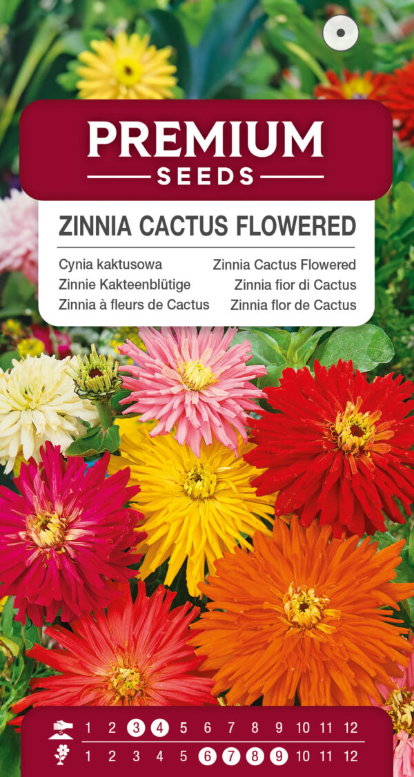 Cynia kaktusowa mieszanka 1g