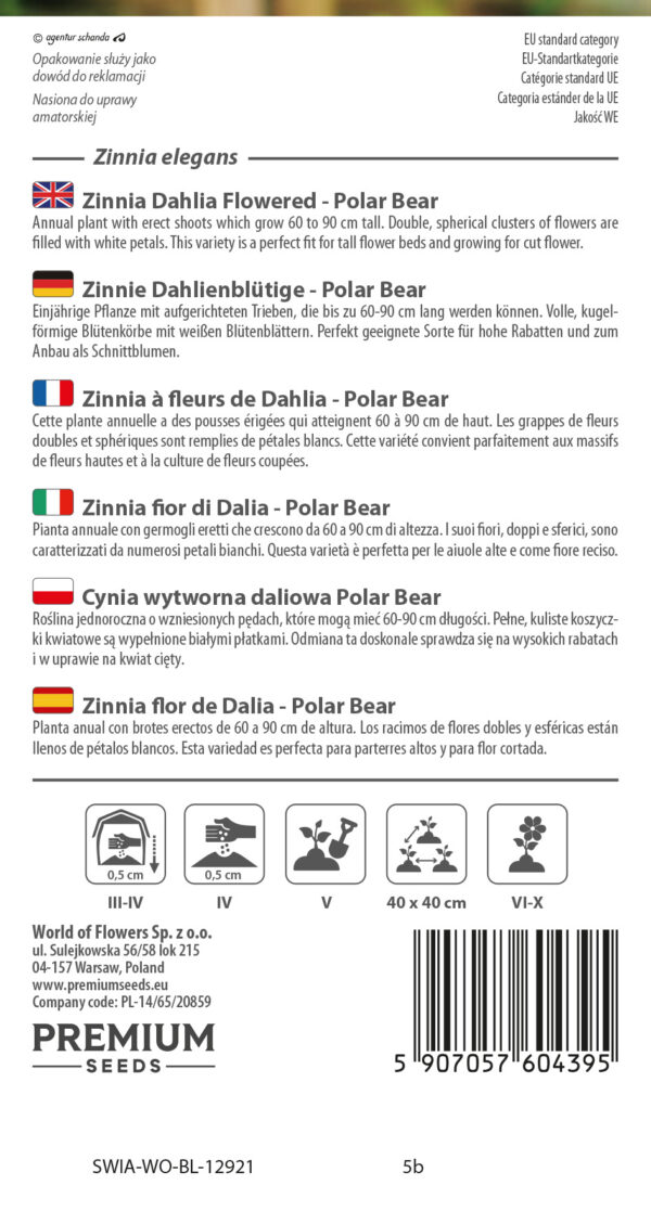 Cynia wytworna daliowa Polar Bear 1g