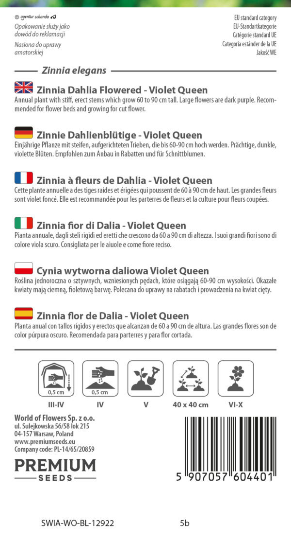 Cynia wytworna daliowa Violet Queen 1g