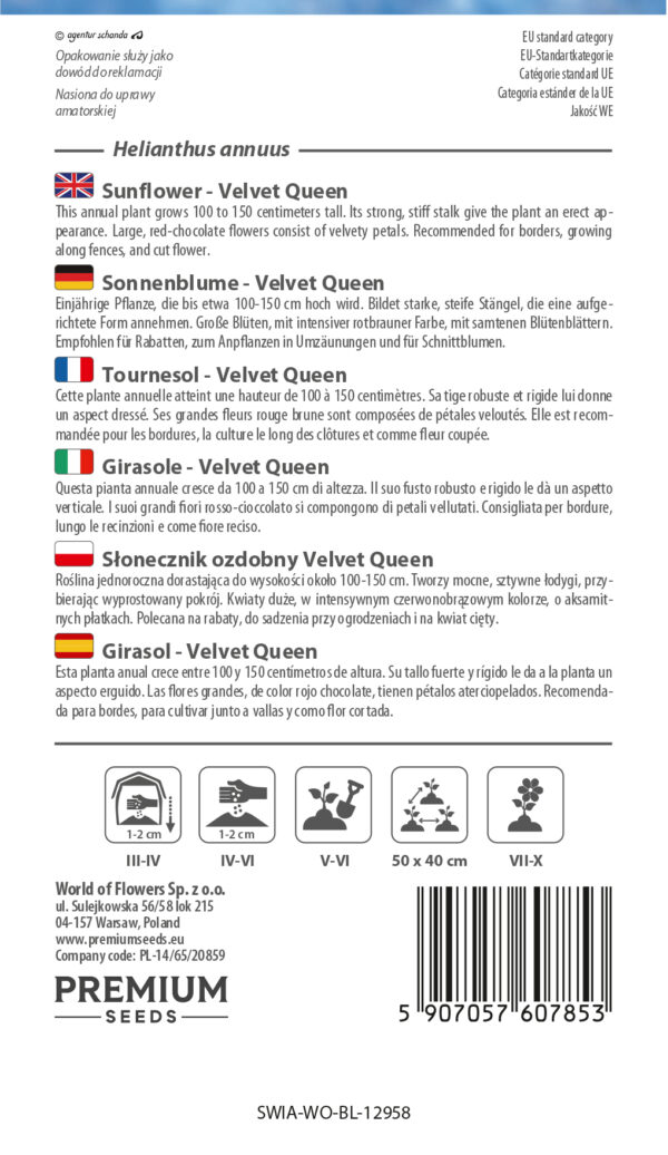Słonecznik ozdobny Velvet Queen 1g