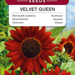 Słonecznik ozdobny Velvet Queen 1g