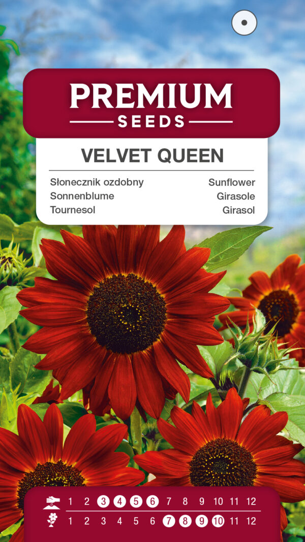 Słonecznik ozdobny Velvet Queen 1g