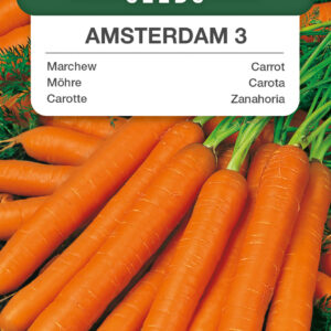 Marchew Amsterdamska 5g