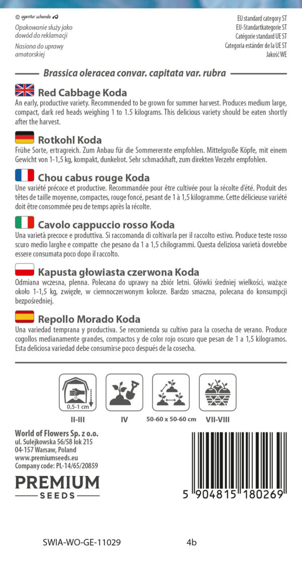 Kapusta głowiasta czerwona Koda 1g