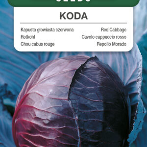 Kapusta głowiasta czerwona Koda 1g