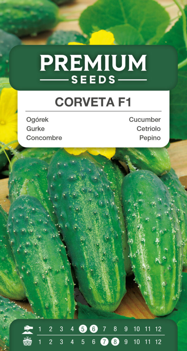 Ogórek Corveta F1 3g