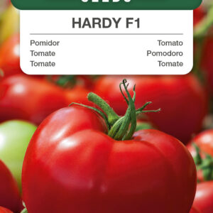 Pomidor Hardy F1 0,1g