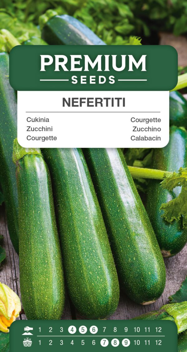 Cukinia Nefertiti 3g